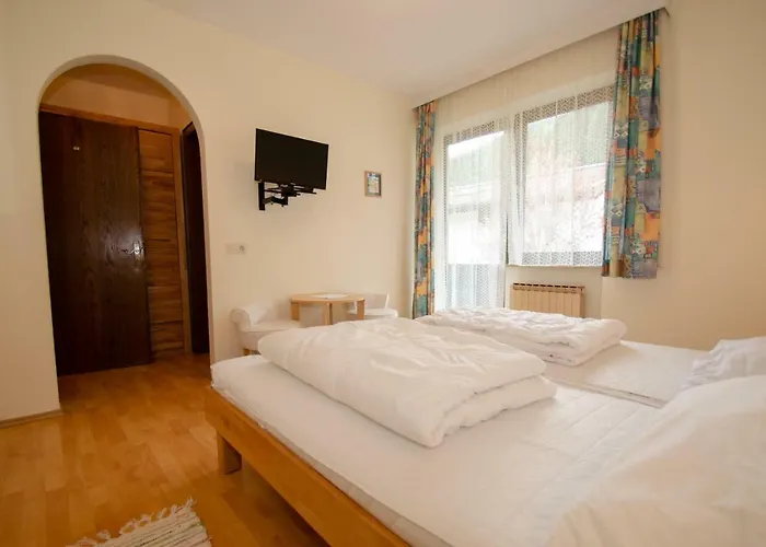 Landhaus Piberger - Zell Am See Kaprun Summer Card Included